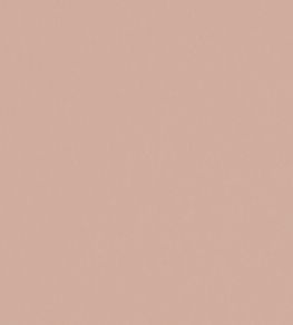 Zion Fabric by Wemyss Pink