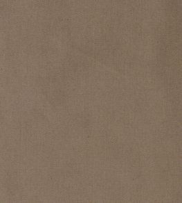 Zion Fabric by Wemyss Terra